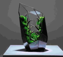 Glassy Greens