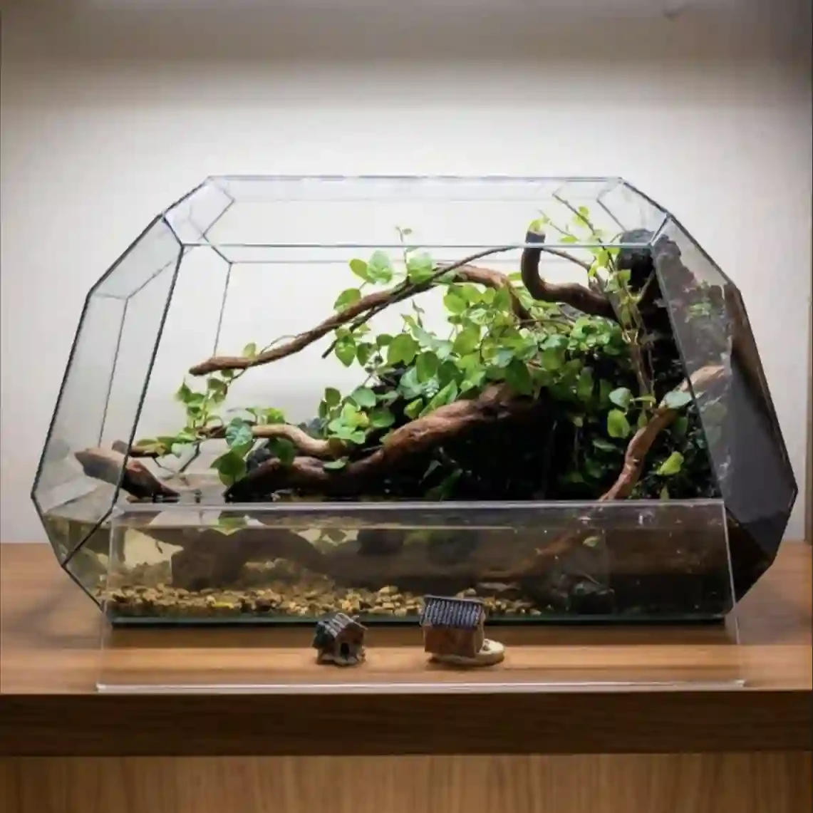Natural Live Paludarium Geometric Shape